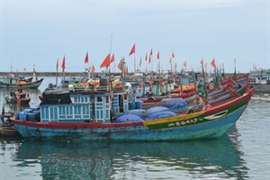 Thành lập Nghiệp đoàn nghề cá đầu tiên ở Phú Yên